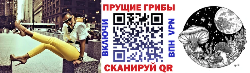 Галлюциногенные грибы Psilocybe  Купить  Себеж 